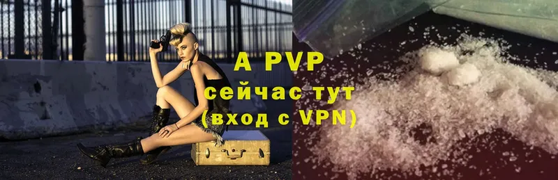 Alpha-PVP СК КРИС  МЕГА как войти  Буй 