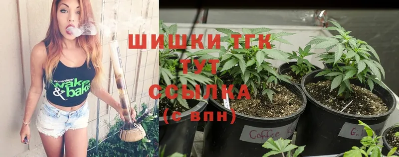 Конопля сатива  сколько стоит  Буй 